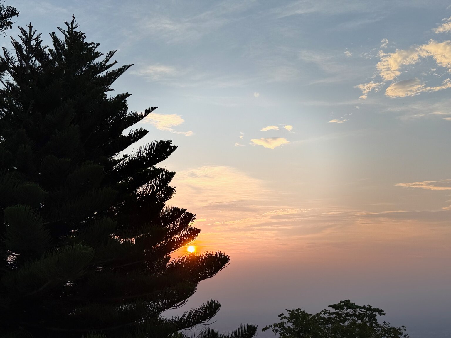 Sunrise seen from the mountainside at Doi Suthep, the sun sitting low behind the branches of a large pine with the hazy valley below