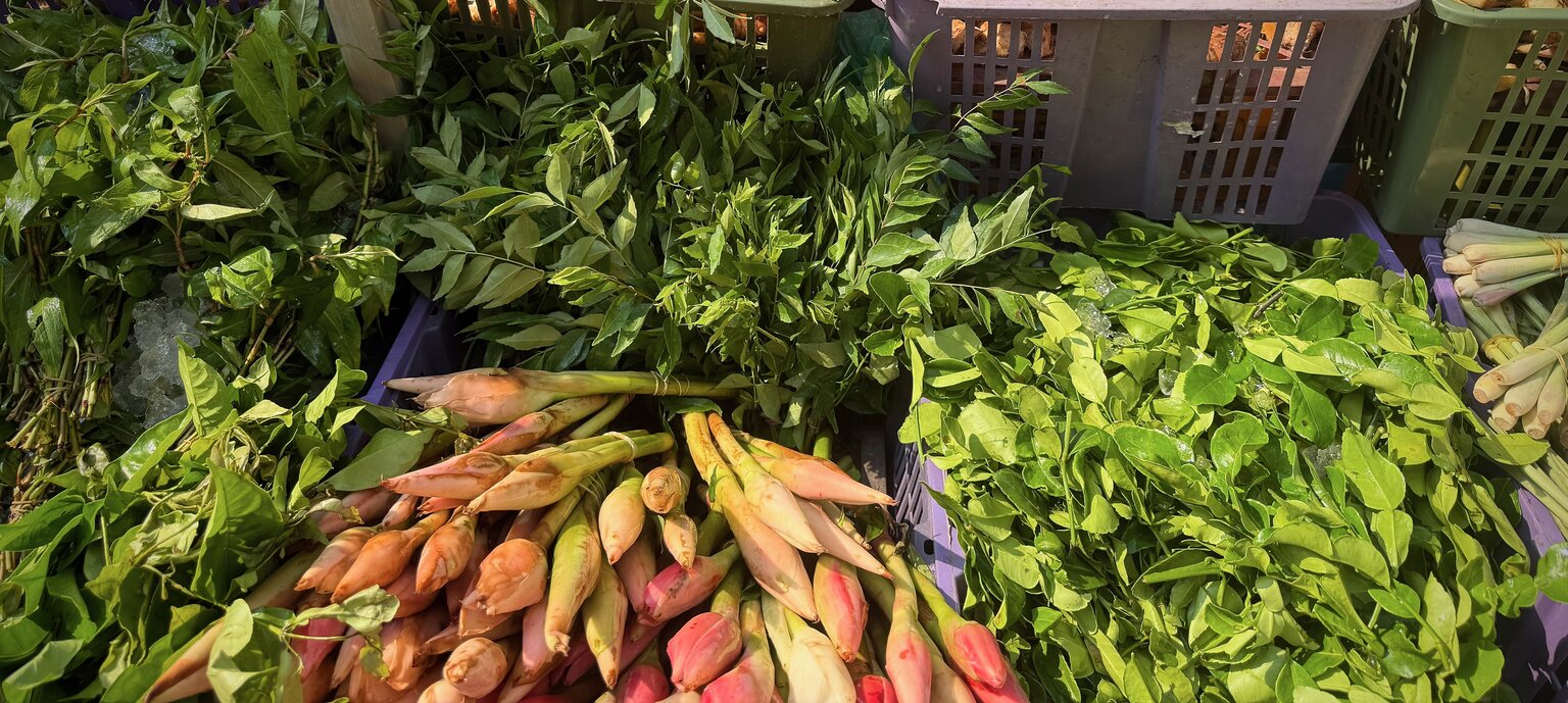 Torch ginger buds, kaffir lime leaves, lemongrass, curry leaves, and other fresh herbs on display at the Chow Kit Night Market in Kuala Lumpur