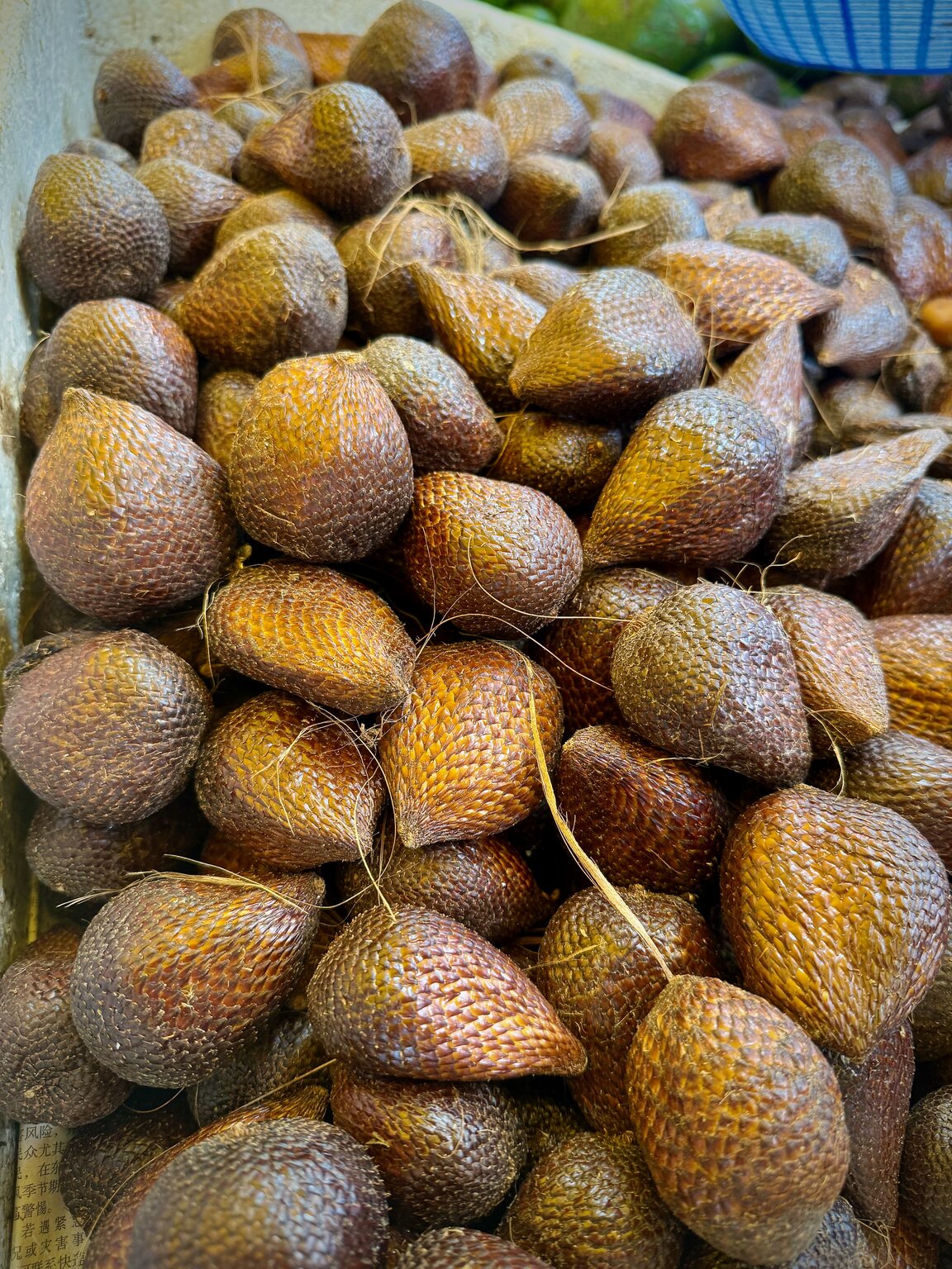 Snake skin fruit with its distinctive scaly exterior at a Chow Kit Night Market stall